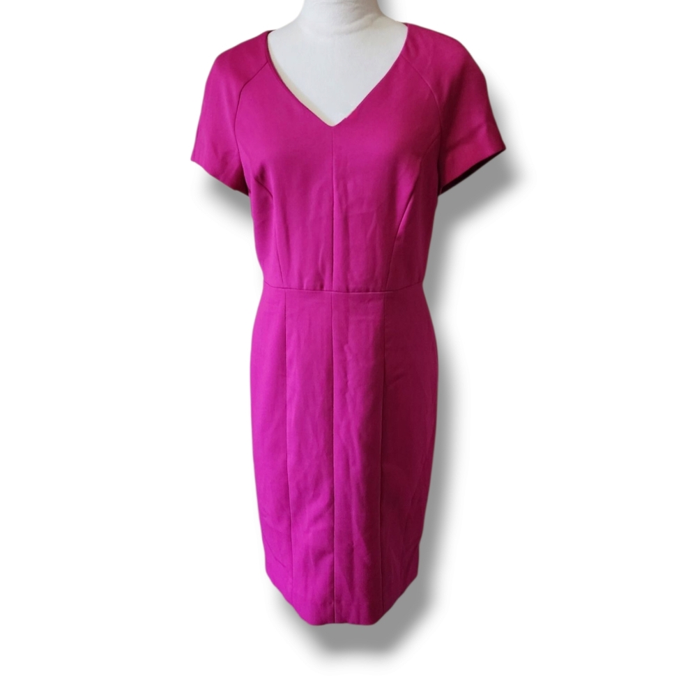 The Limited Pink V-Neck Dress